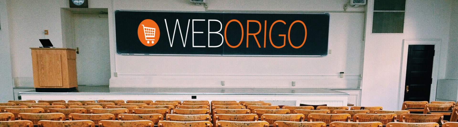 WebOrigo Institutions Banner Image