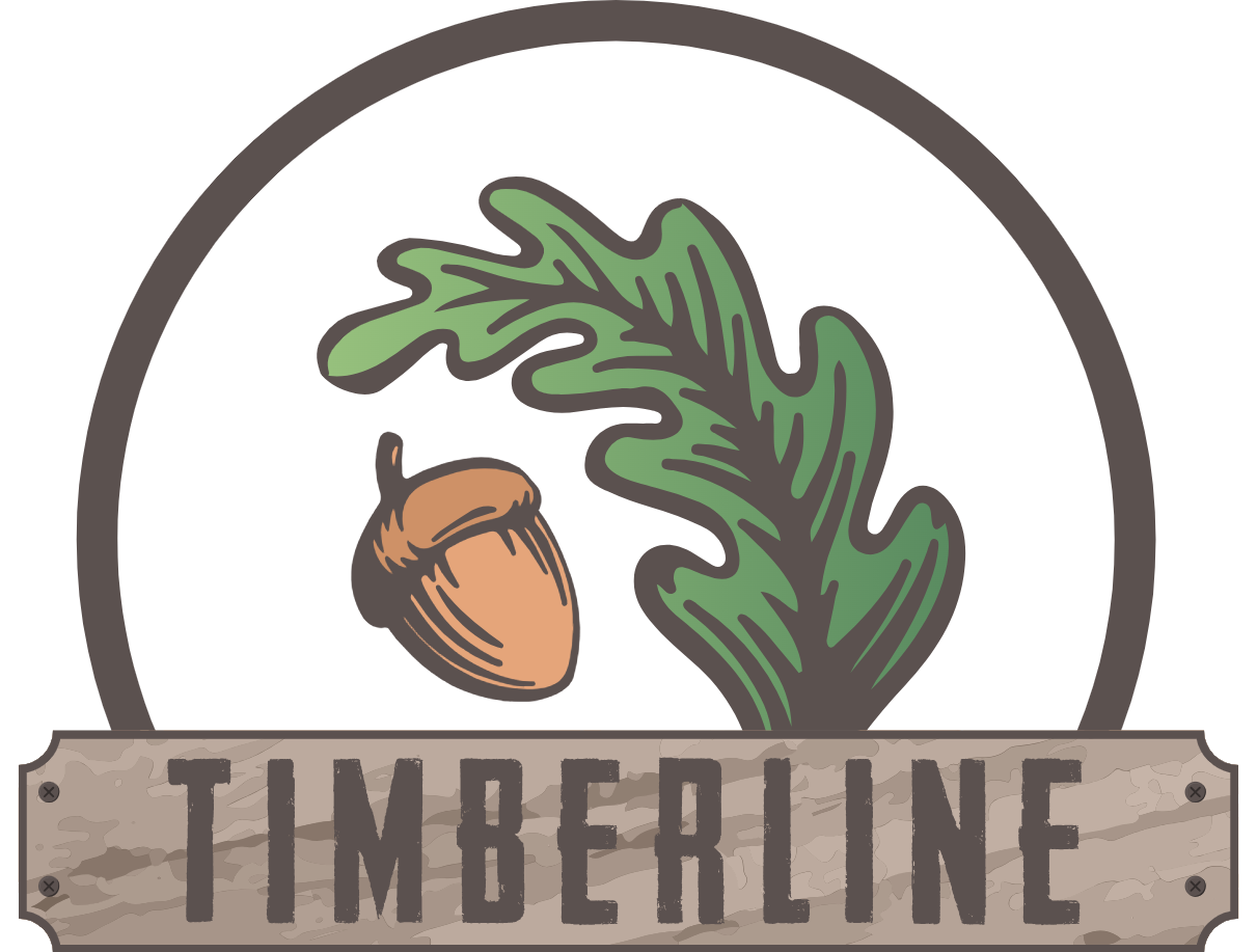 Timberline sawmill inventory management system development